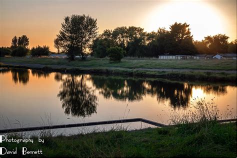 Lincolnshire Cam: Postcards from RSPB Tetney Reserve.