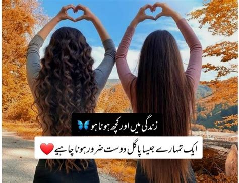 Best Urdu Poetry For Friendship