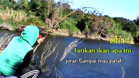 Nekat Mancing Ikan Nila Babon Saat Angin Kencang Tidak Di Sangka Joran