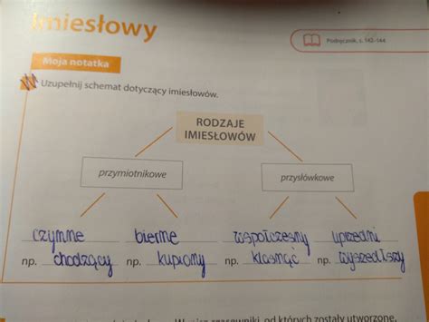 Uzupenij Schemat Dotyczcy Uzyskiwania Energii Przez Organizmy Question