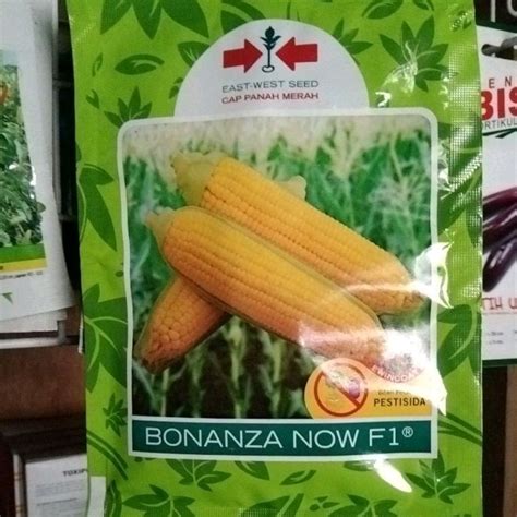 Jual Benih Jagung Manis Bonanza Now F Butir Shopee Indonesia