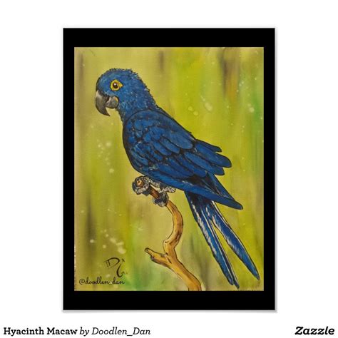 Hyacinth Macaw Poster Zazzle Poster Artwork Creating Art