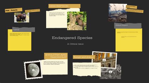 Endangered Species By MATEI ELIZA MARIA On Prezi