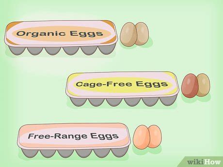 How to Promote Humane Farming Practices and Initiatives - wikiHow