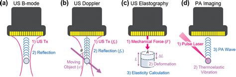 Recent Advances In Ultrasound And Photoacoustic Analysis For Thyroid