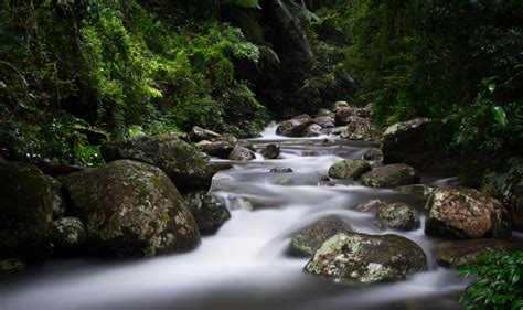 Lamington National Park, Queensland, Australia : r/Waterfalls