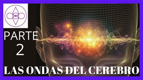 Frecuencias Y Ondas Del Cerebro Parte Youtube