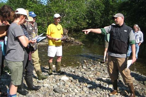 Pysht River Protection Area Restoring Habitat And Recovering Salmon