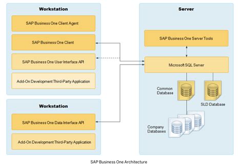 Sap Business One For Hana Professionalkum