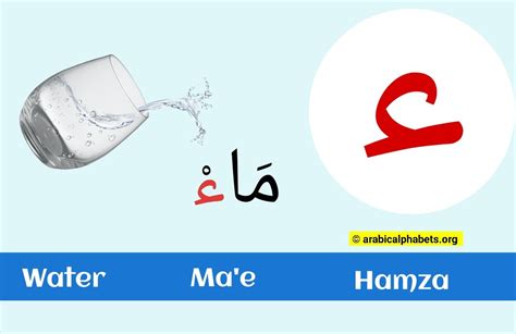 Hamza Arabic Letter