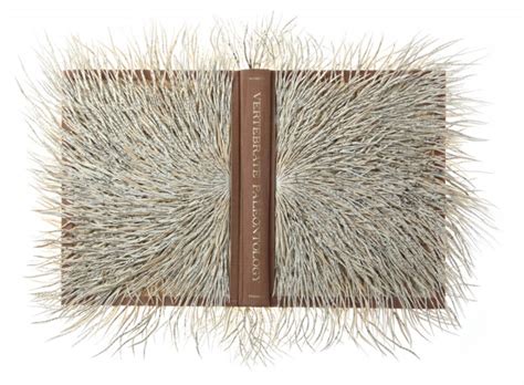 Книги больше, чем книги от Барбары Вильденбоер