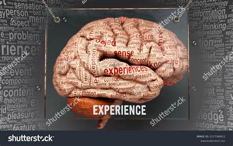 Experience Human Brain Dozens Important Terms Stock Illustration