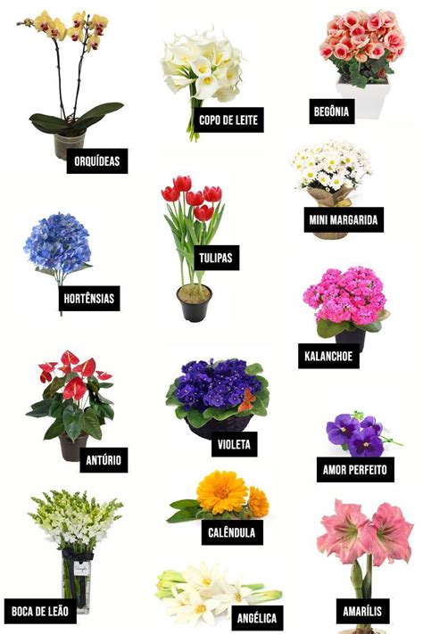 Flores que Você Pode Ter em Casa 7 tipos de flores para amar