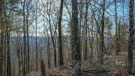 207 Most High Loop Hot Springs National Park AR 71901 See Est Value Schools More