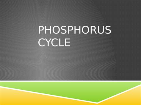 Quick Look At The Phosphorus Cycle Teaching Resources