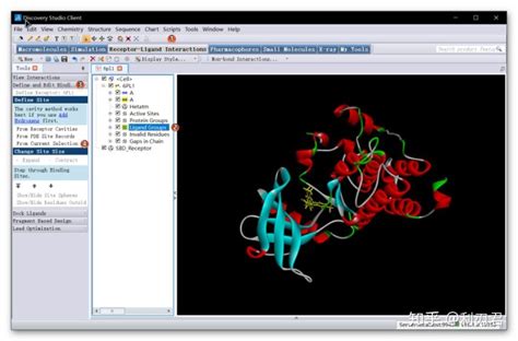 蛋白对接分子模拟软件discovery Studio教程二：精准的分子对接技术灵之翼的博客 Csdn博客