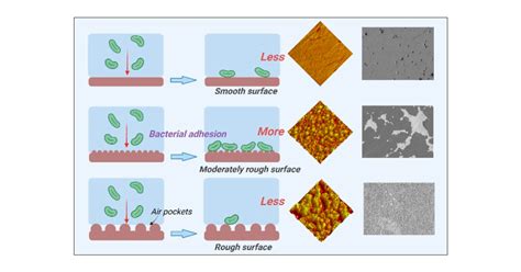 Influence Of Surface Roughness Nanostructure And Wetting On Bacterial