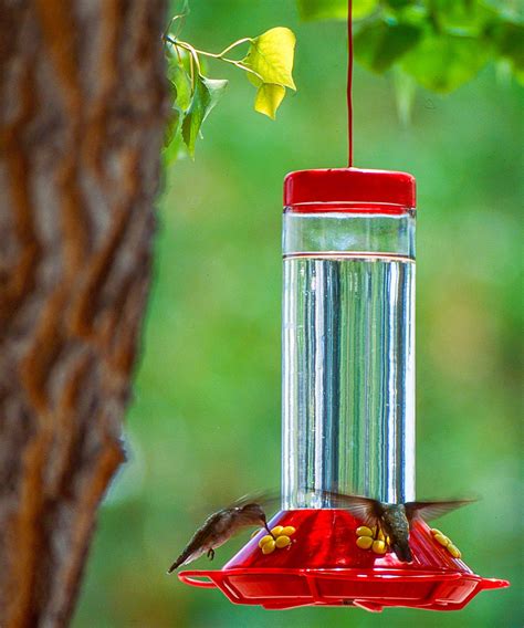 Hummingbird feeder mistakes: 5 common errors to avoid | Homes & Gardens