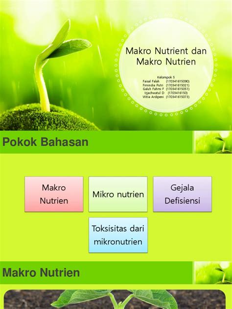 Makro Nutrien Dan Mikro Nutrien Fisiologi Tumbuhan Pdf