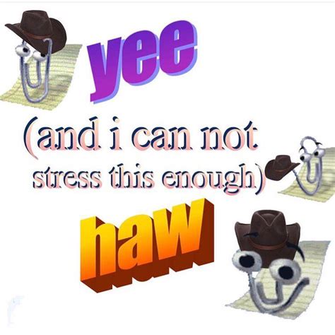 Yee Haw Rdankmemes