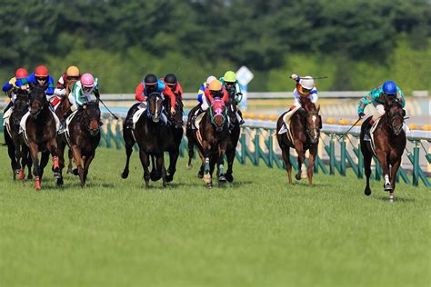 3連複流しとは？計算方法と軸馬の選び方を解説 おすすめ競馬予想サイト17選！みんなの競馬検証