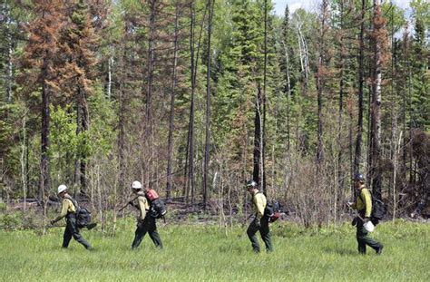 Fort Mcmurray Wildfire Under Control Thanks To Firefighting Efforts