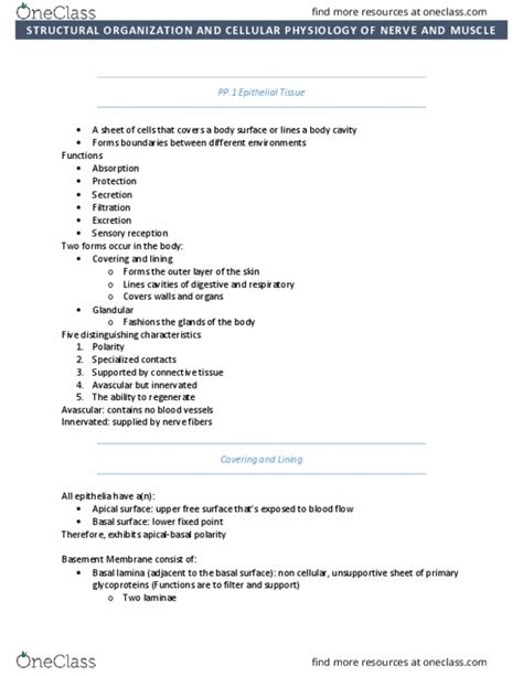 ANP 1105 Midterm Anatomy Midterm 1 Notes OneClass