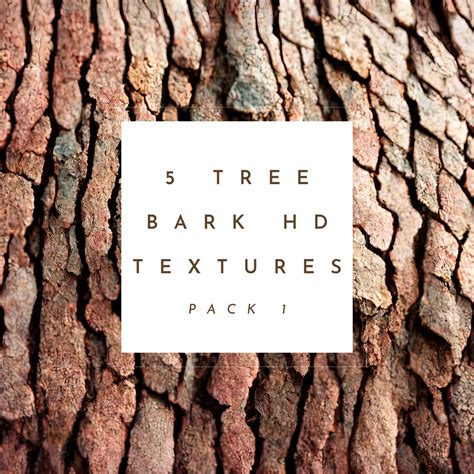 Tree Bark Digital Paper Wood Texture Paper Wooden Paper Wood Grain Backgrounds Wood Paper