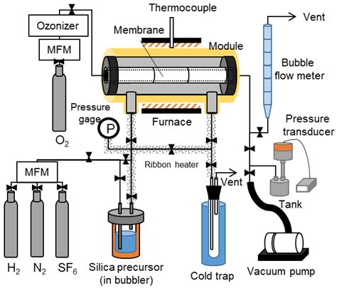 Membranes Free Full Text Permeation Properties Of Ions Through