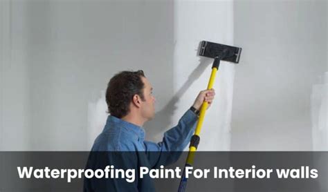 Using Wall Waterproofing Paint Importance And Steps Guide