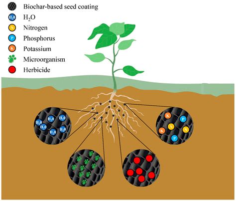 Plants Free Full Text Biochar Coating Is A Sustainable And