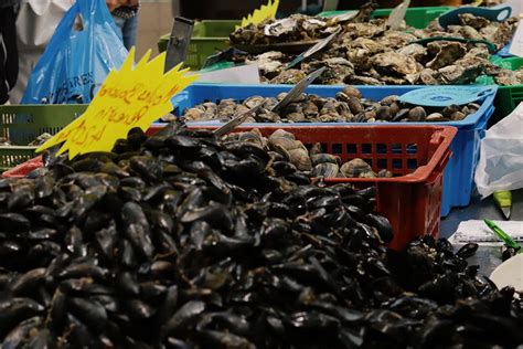 Bretagne Que Visiter Dans Le Morbihan Que Faire Dans Le Golfe Du