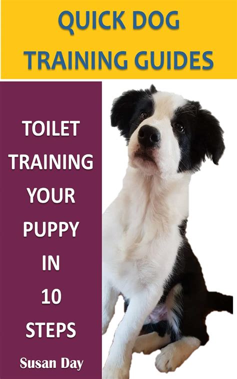 toilet training your puppy
