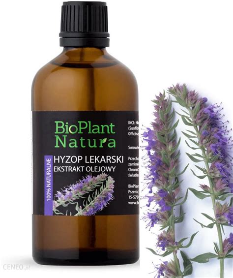 BioPlant Natura ekstrakt olejowy Hyzop lekarski skóra sucha 30ml