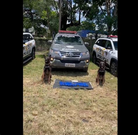 Homem Preso Maconha E Crack Em Nibus Que Seguia De S O Paulo