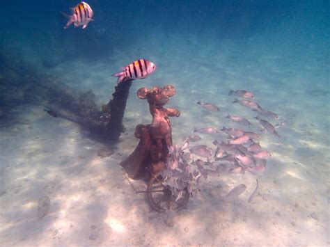 Snorkeling At Castaway Cay • Disney Cruise Mom Blog