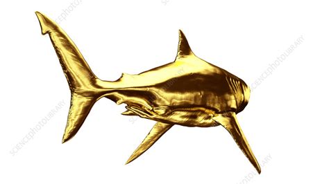 Golden shark, illustration - Stock Image - F038/3310 - Science Photo Library