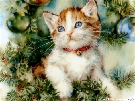 Christmas Kitten Wallpapers Wallpapers High Definition Wallpapers