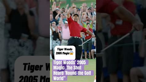 Tiger Woods Best Shot Ever Tigerwoods Sportsnews Youtubeshorts