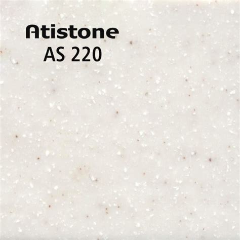 AS 220