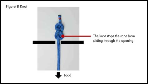 How To Tie A Figure 8 Double Loop Knot Carvosso Horlitted1976