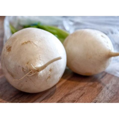 Radish winter white seeds, heirloom, non-gmo, organic