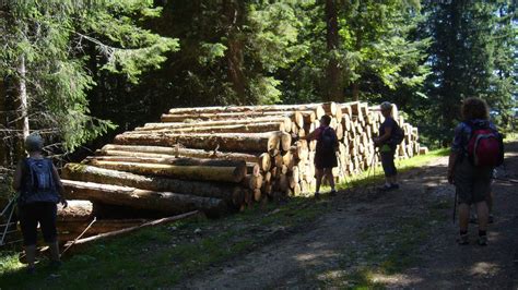 Col De La Givrine St Cergue Par Les Fruiti Res De Nyon Randocops