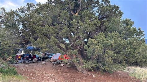 Camping Colorado Sand Dunes — Colorado Hikes and Hops