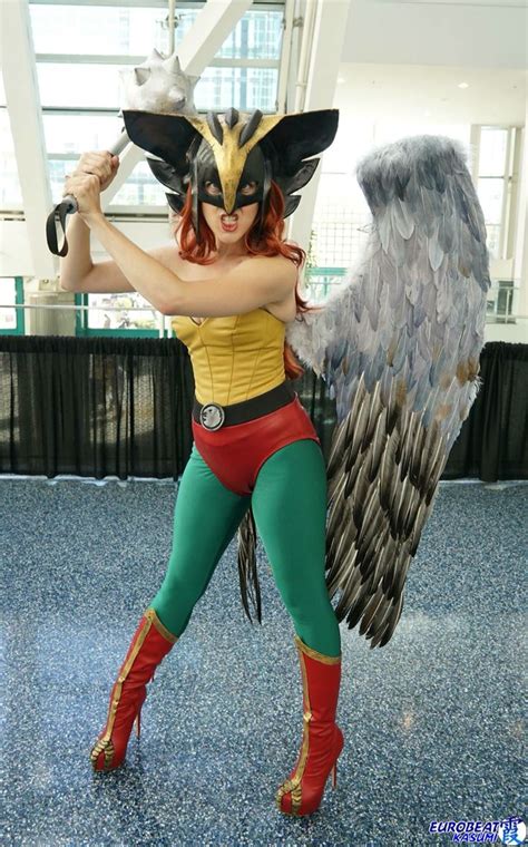Hawkman And Hawkgirl Costume