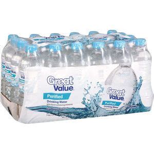 Great Value Purified Drinking Water, 16.9 Fl Oz, 24 Count - Walmart.com ...