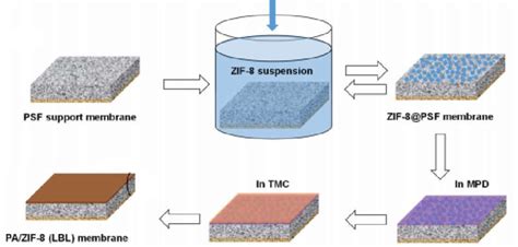 Schematic Of In Situ Preparation Of Nanocomposite Membrane Download Scientific Diagram