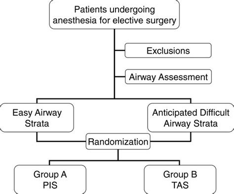 Scheme Of Stratified Randomization After Appropriate Exclusions All