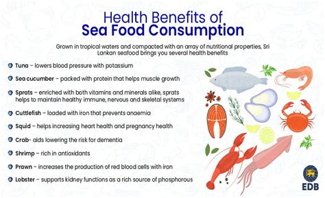 Health Benefits Of Seafood Consumption Edb Sri Lanka