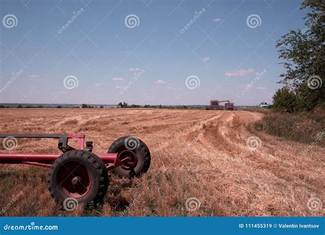 Harvesting of Wheat by Agricultural Machinery Stock Image - Image of summer, stubble: 111455319